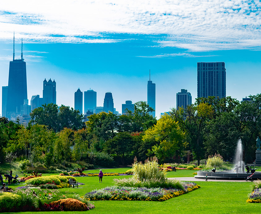 Seder Orthodontics | Orthodontist Chicago IL